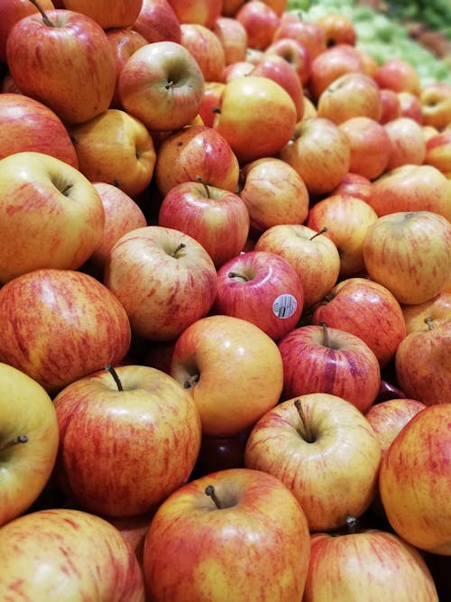 Free stock photo of apple, fruits