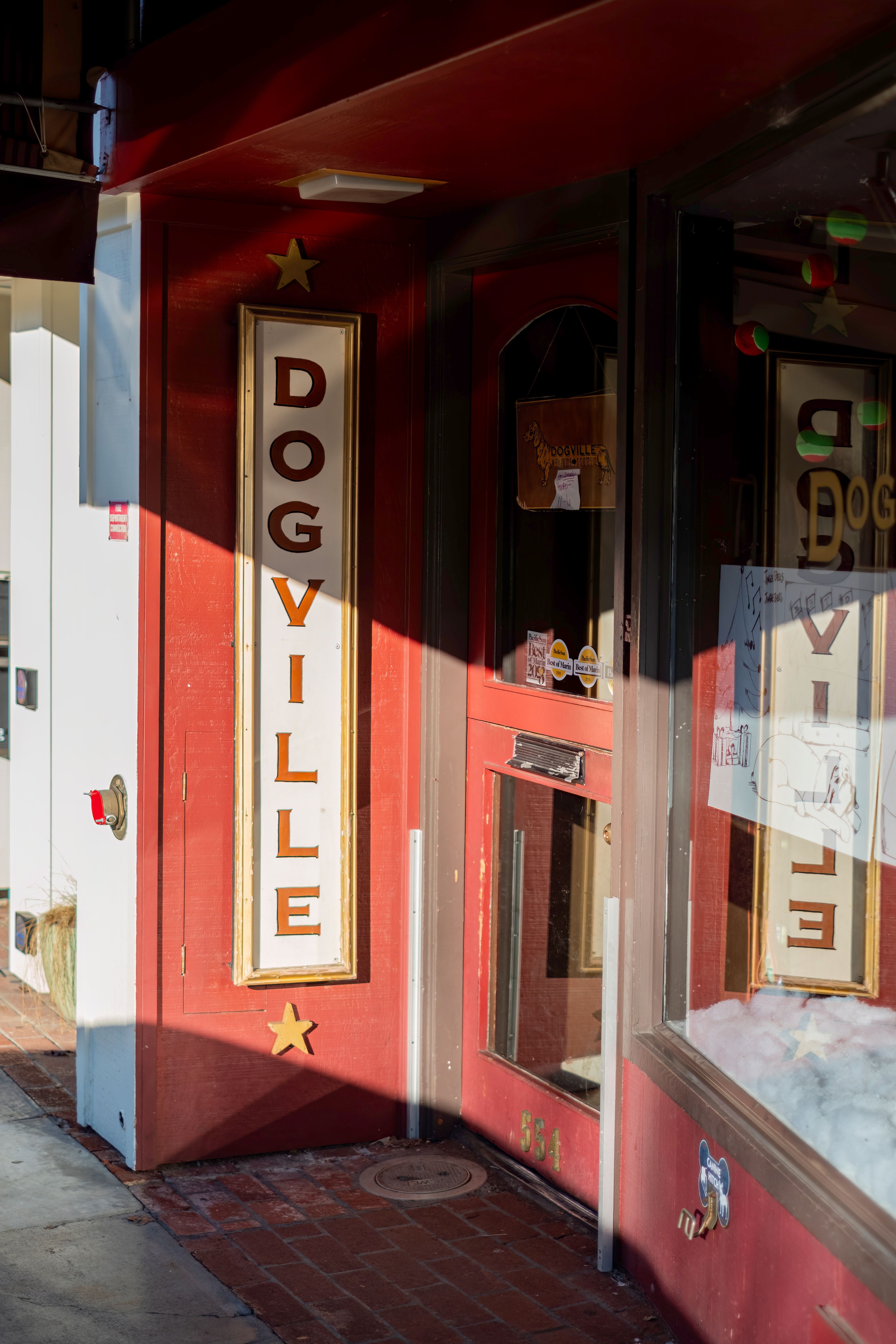 Entrance to a pet shop named Dogville on a sunny day in an urban area.