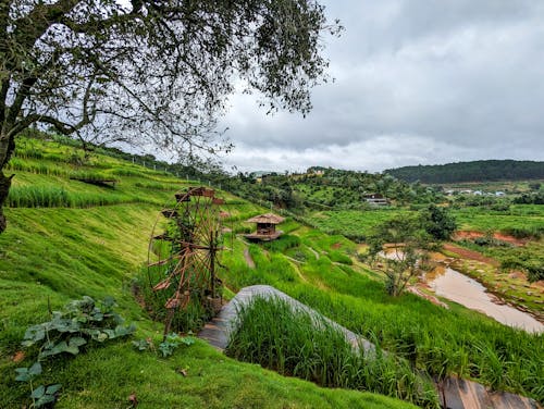 A Countryside Landscape under a Cloudy Sky 