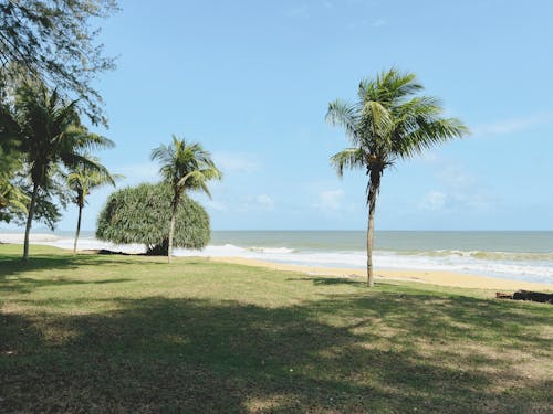 Beachside in Dungun, Terengganu which is calm with palm trees and clear blue sky in the monsoon season.