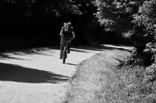 Free A cyclist biking on a sunlit dirt road in a forest, wearing a backpack. Stock Photo