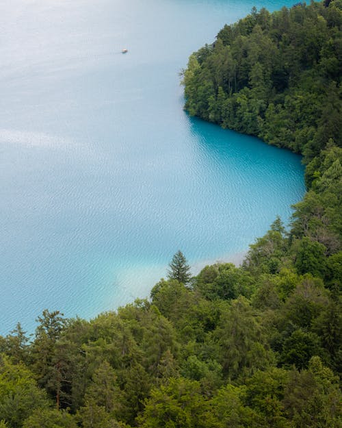 A lake surrounded by trees and water