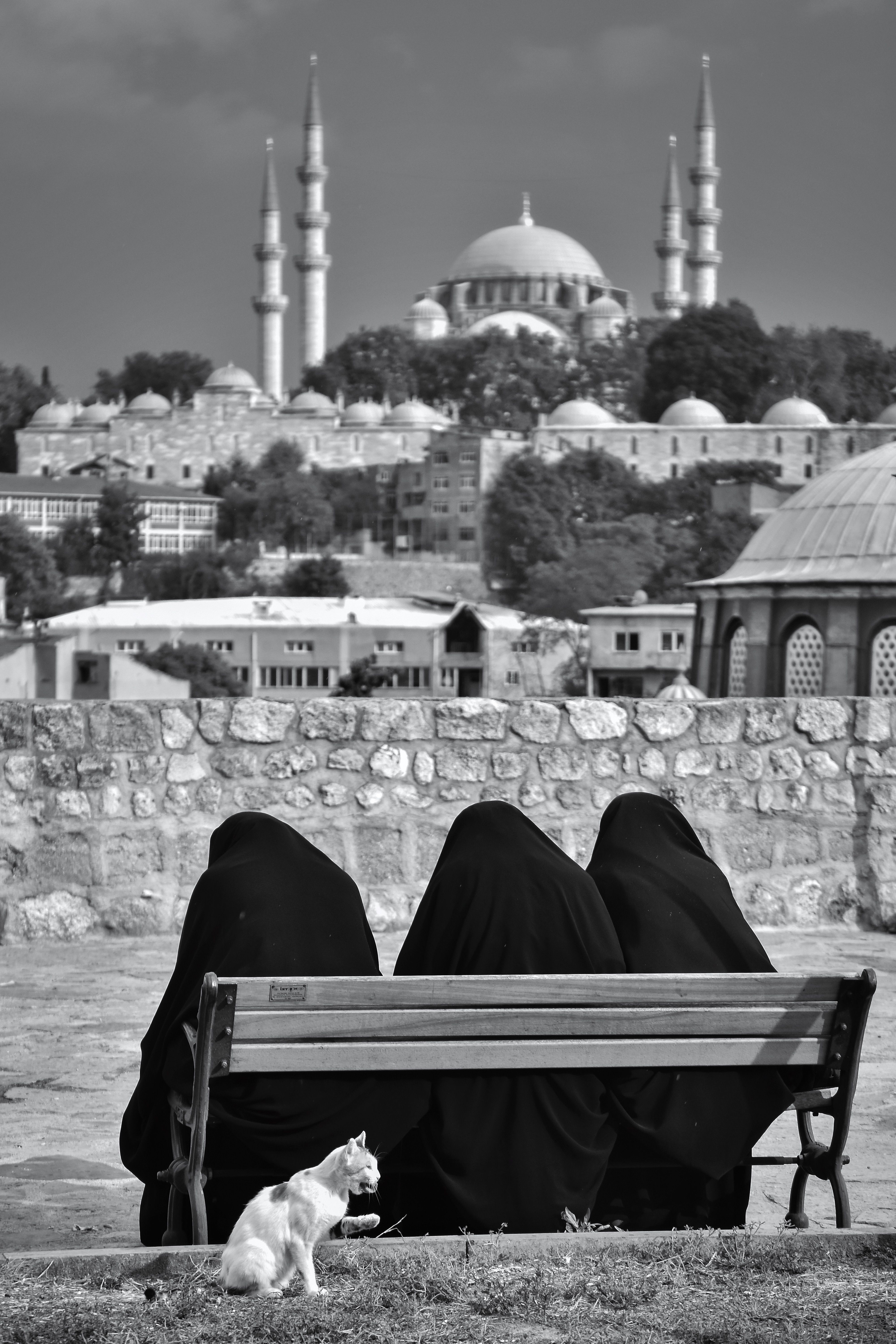 Women in Abayas Sitting on Bench with Mosque behind · Free Stock Photo