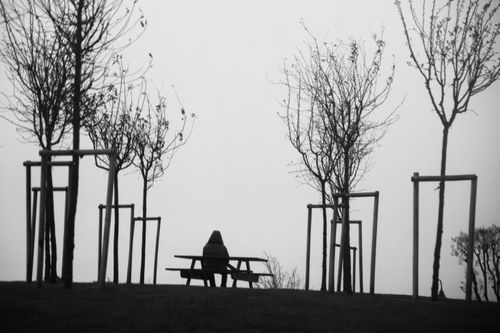 Free A lone person sits on a bench surrounded by bare trees, evoking solitude and introspection in a black and white setting. Stock Photo