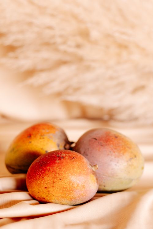 Free Still life composition featuring ripe organic mangoes on a soft fabric backdrop. Stock Photo