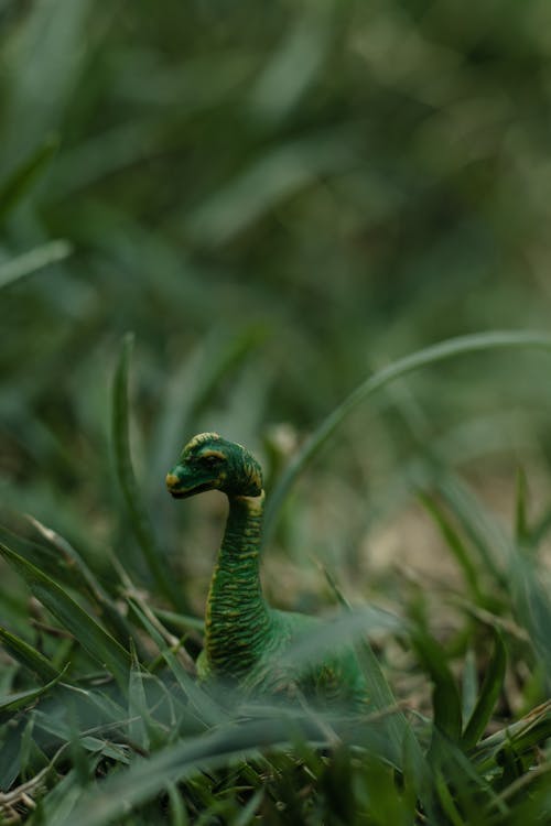 Green Dinosaur in Grass