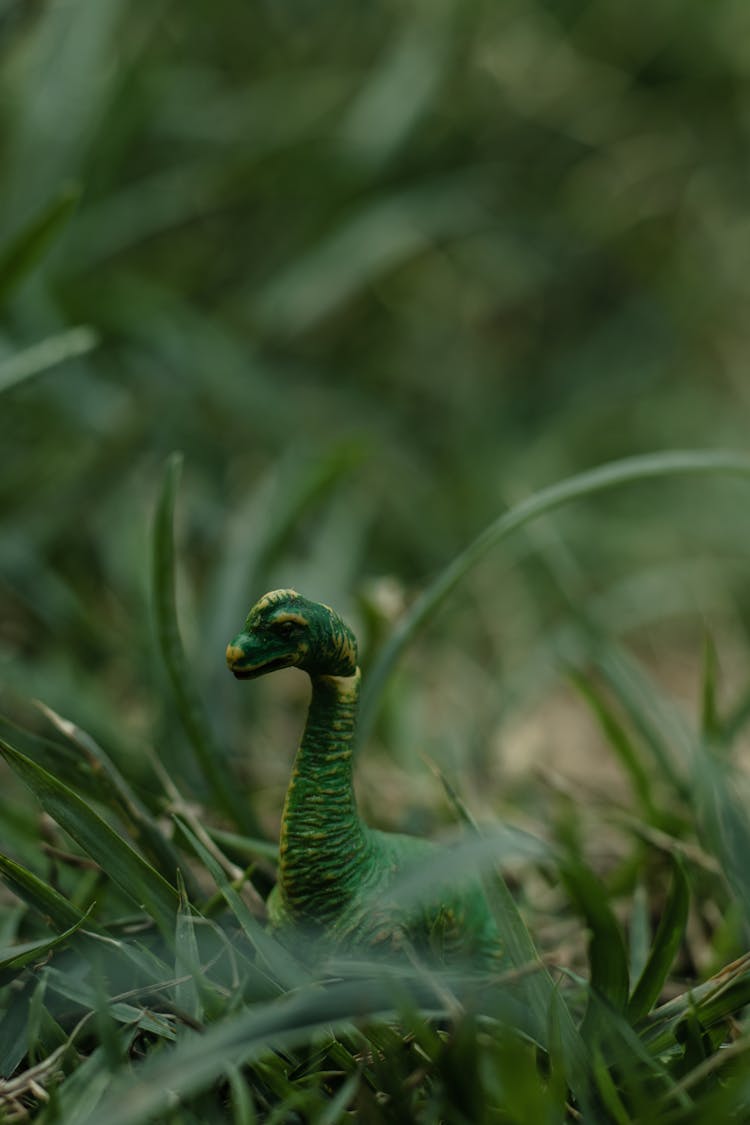 Green Dinosaur In Grass