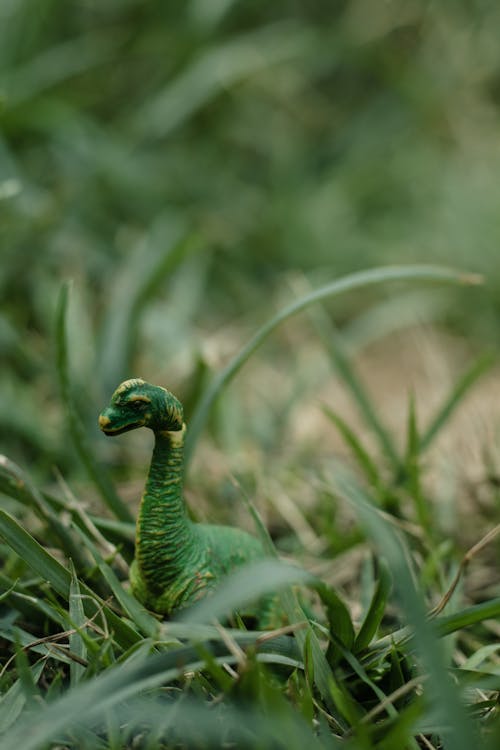 Dinosaur Toy in Grass