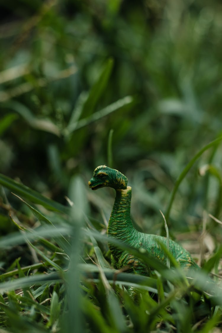 Green Dinosaur In Grass