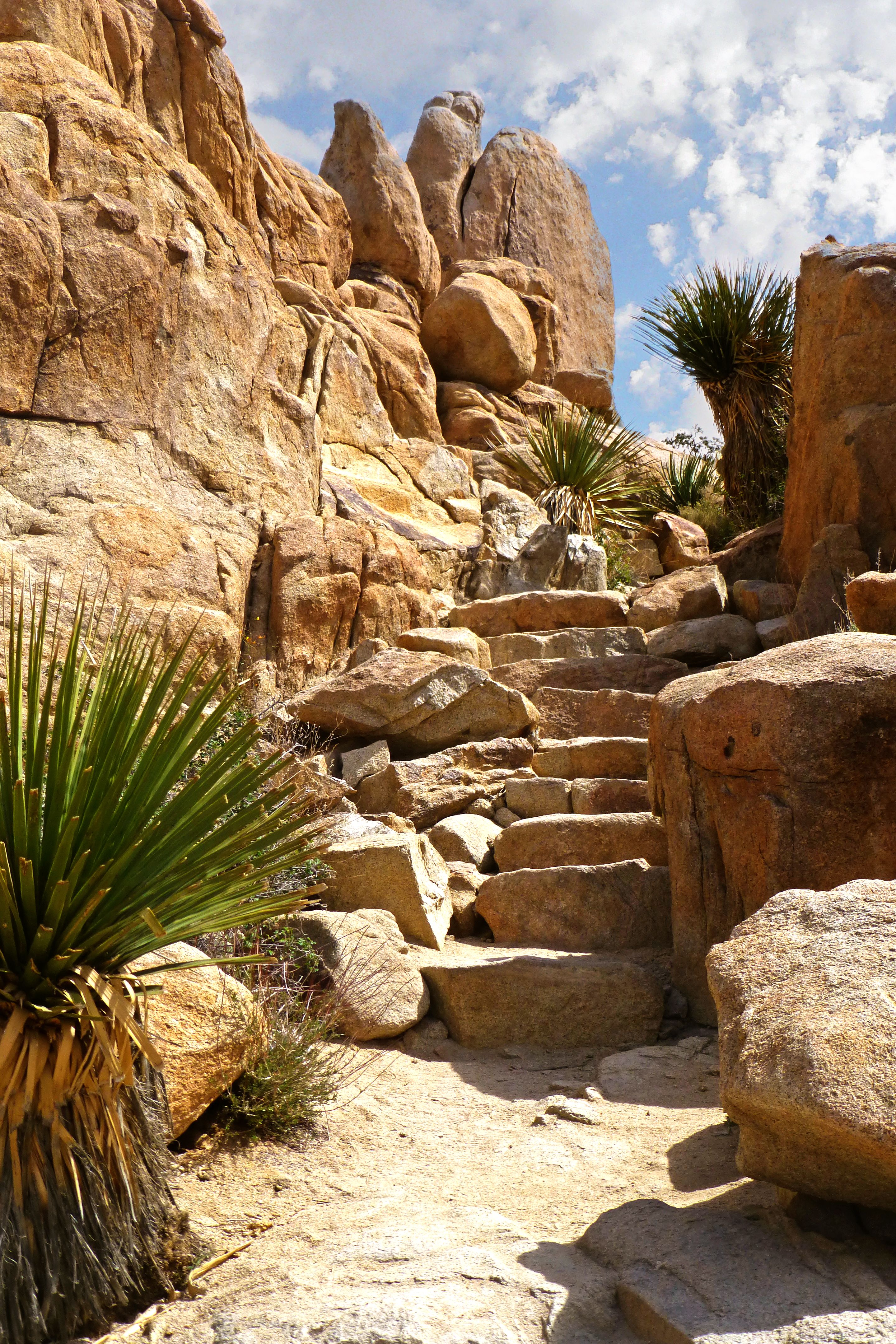 Footpath and Stone Stairs among Rocks · Free Stock Photo
