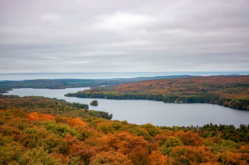 Aerial Shot of Colorful Trees with River