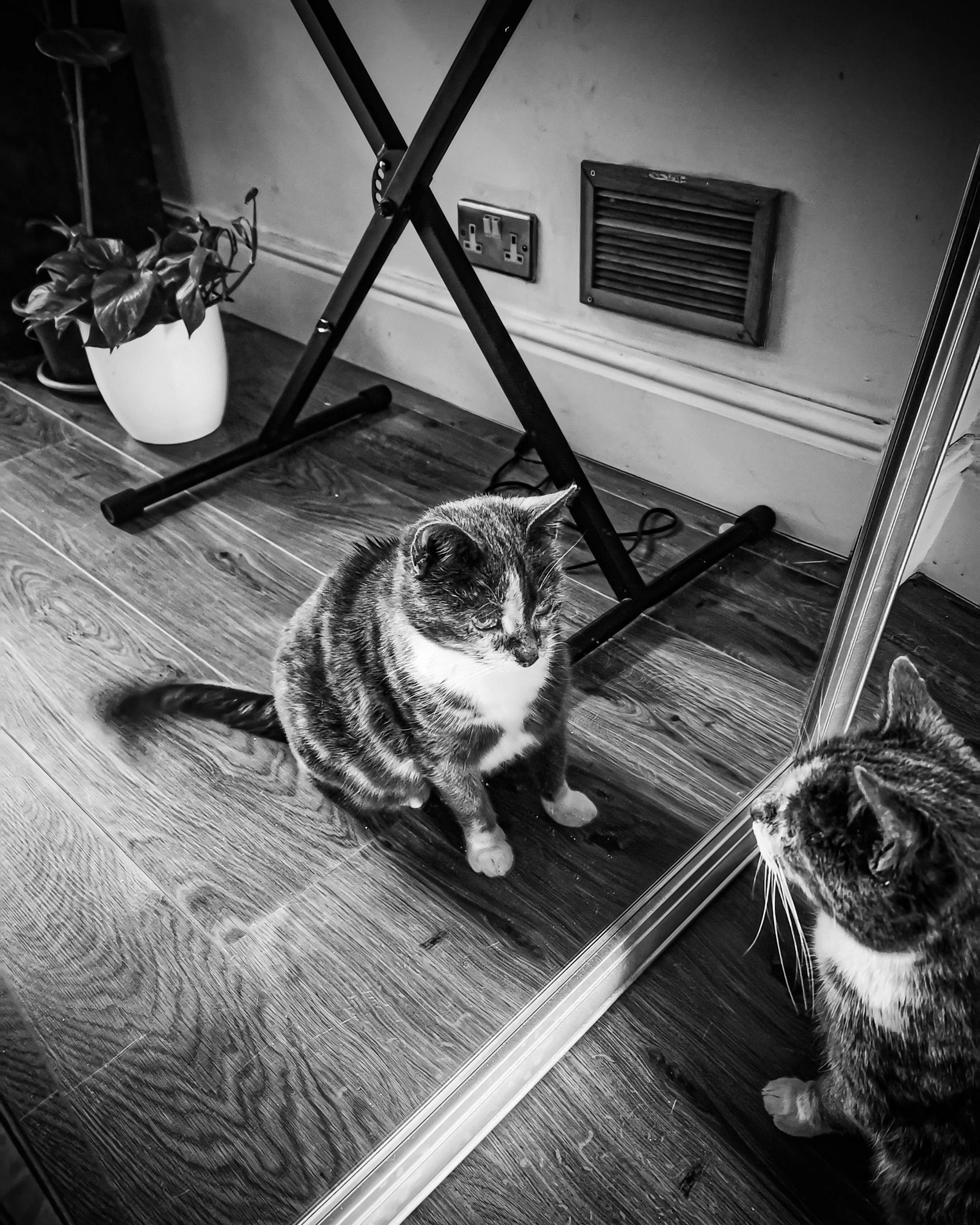 IOANNIS VLASTARIS - 写真 IOANNIS VLASTARIS - 写真