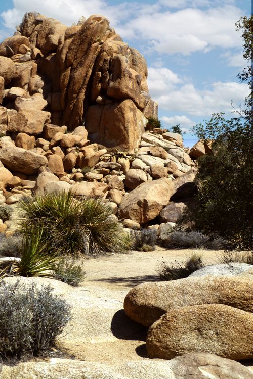 Free Stunning arid desert scene with rock formations and vegetation under a clear sky. Stock Photo