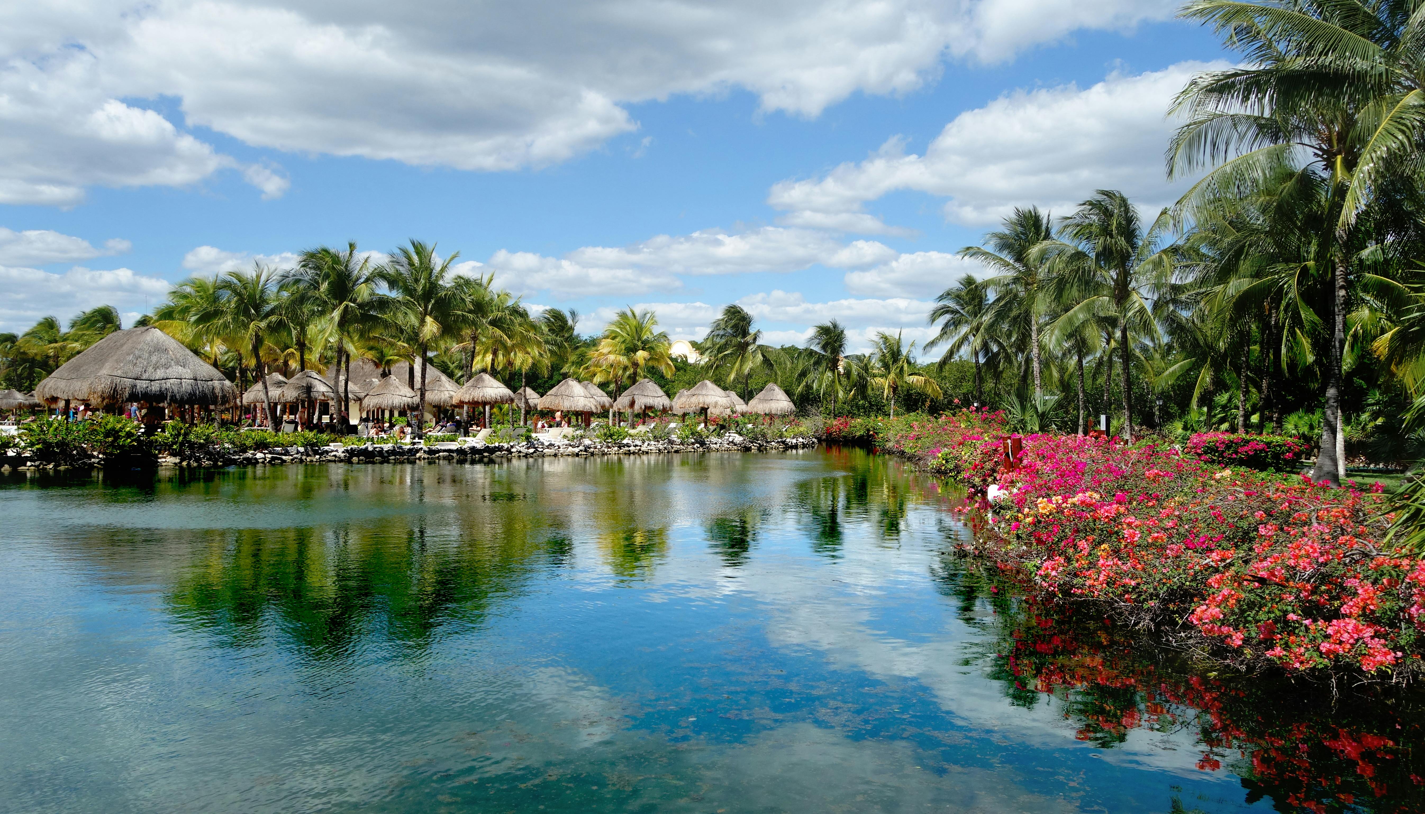 private tours riviera maya for families with kids - Serene tropical resort in Playa del Carmen, Mexico with lush palm trees and vibrant reflections in a tranquil lake.