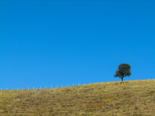 Immagine gratuita di azzurro, distanziamento, fotografia di paesaggio