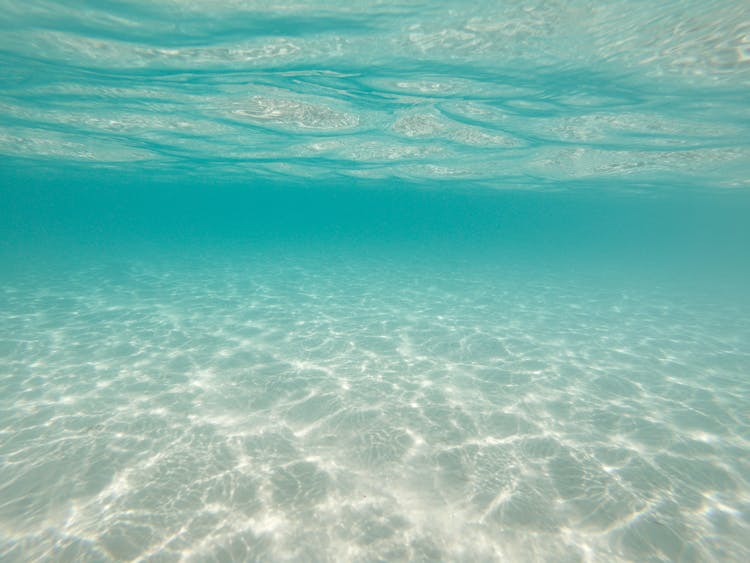 Sunlight Reflecting In Clear Water