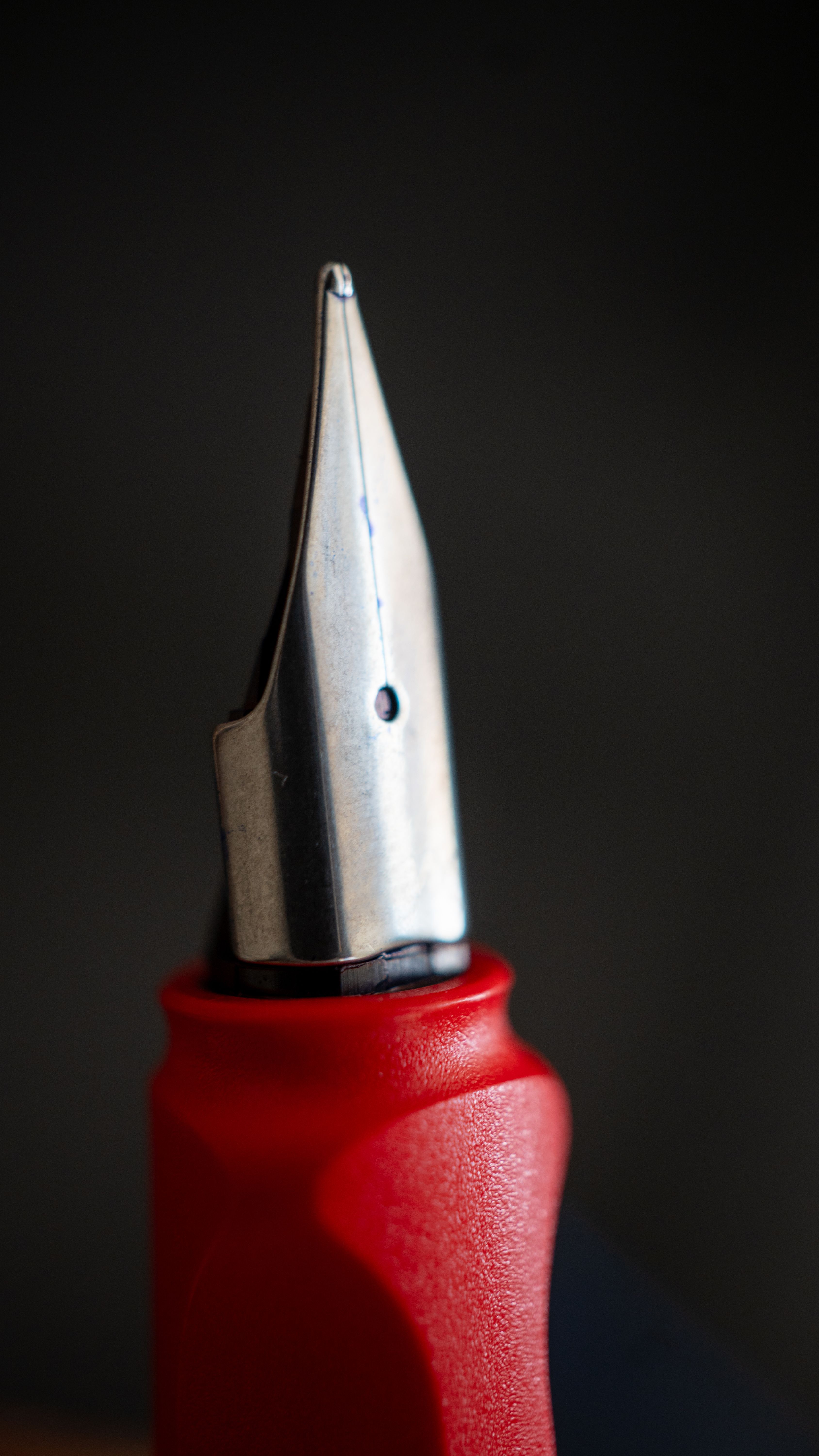 LAMY Safari fountain pen