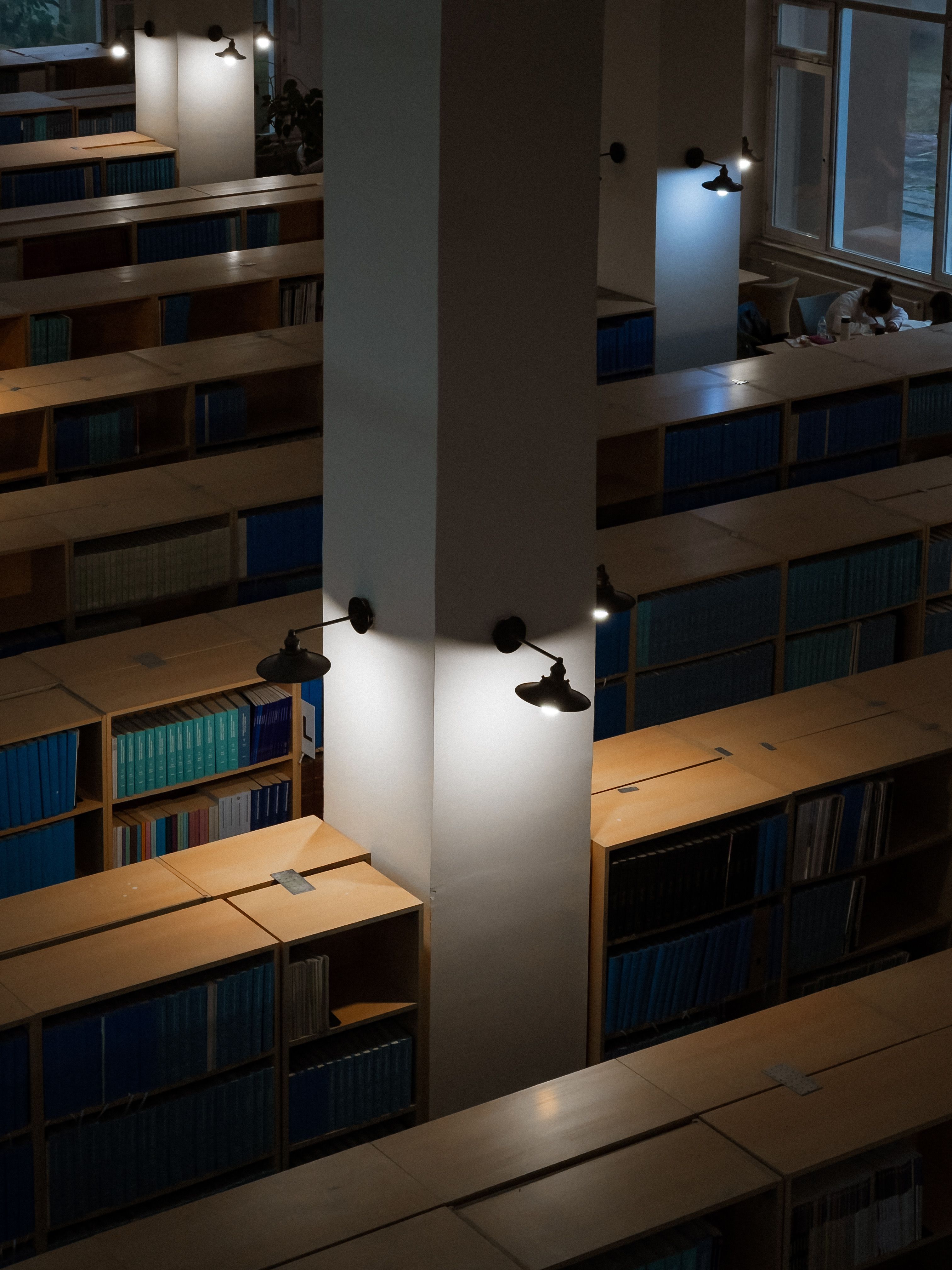 Lamps over Shelves with Books in Library · Free Stock Photo