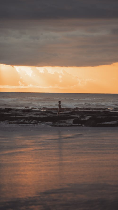 Foto d'estoc gratuïta de capvespre, Costa, dempeus