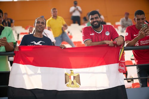 Gratis lagerfoto af Egypten, fans, fodbold
