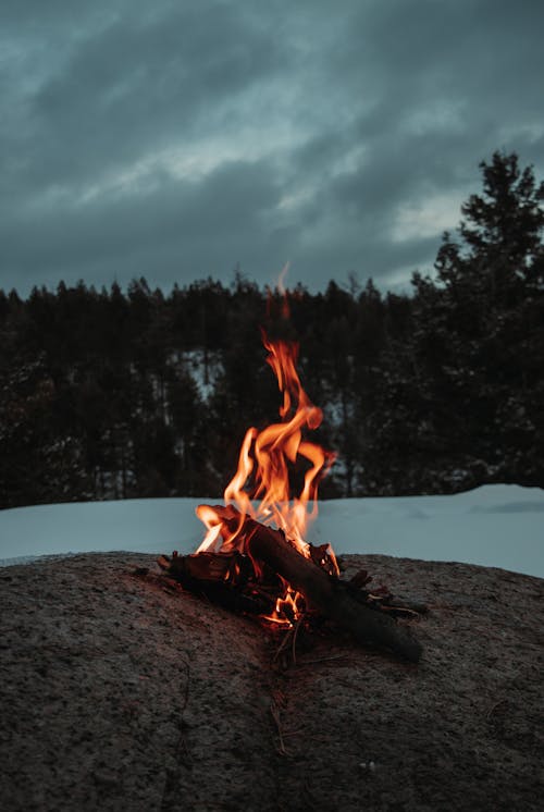 Foto profissional grátis de ardente, chamas, com frio