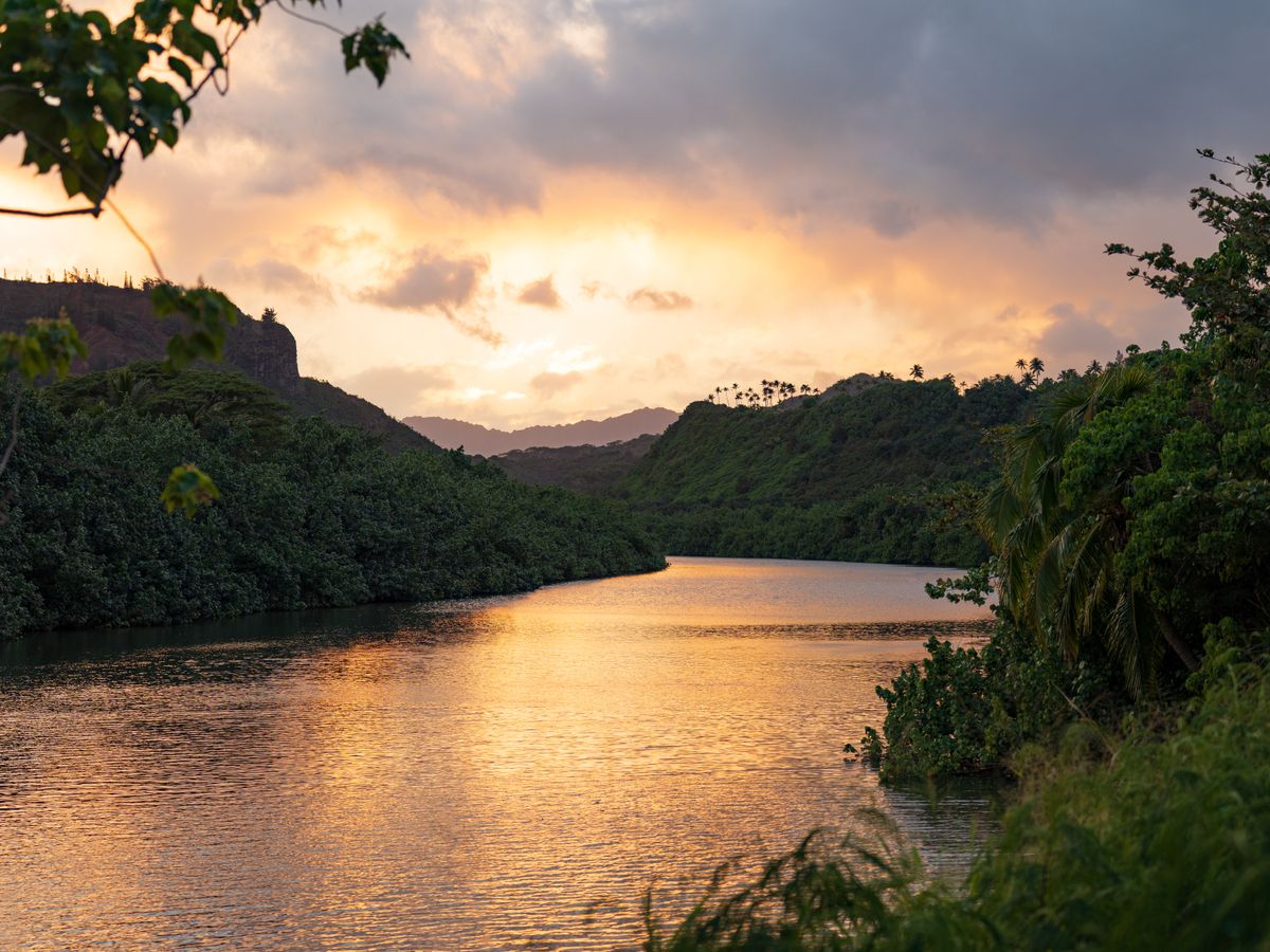 3 Day Ayurvedic Juice Cleanse Retreat in Oahu Hawaii, USA 3