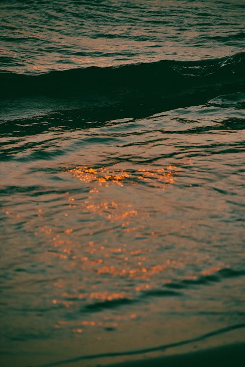 Closeup of a Dark Sea with a Sunset Reflection