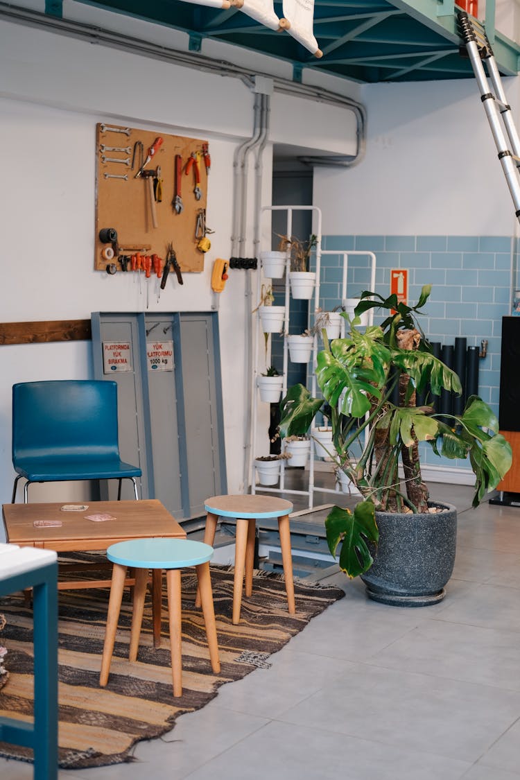 Plant, Table And Chairs In Room