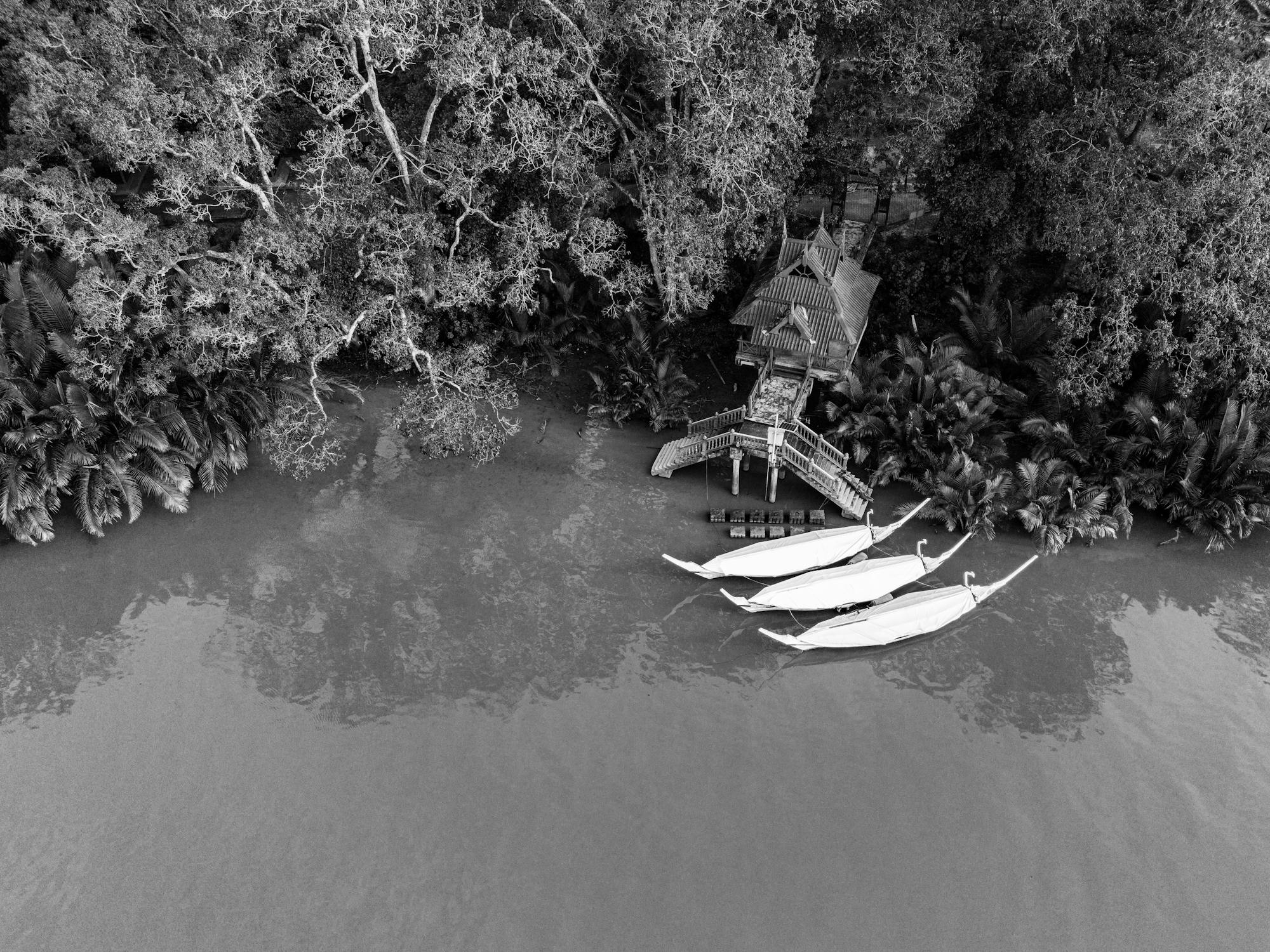 Black and white Aerial Footage with white Boats on a Lake · Free Stock ...