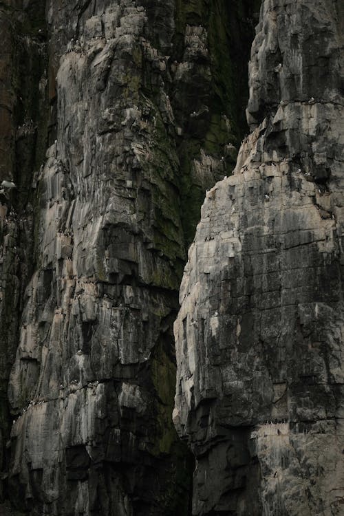 Ilmainen kuvapankkikuva tunnisteilla harmaa, jyrkänne, kallio