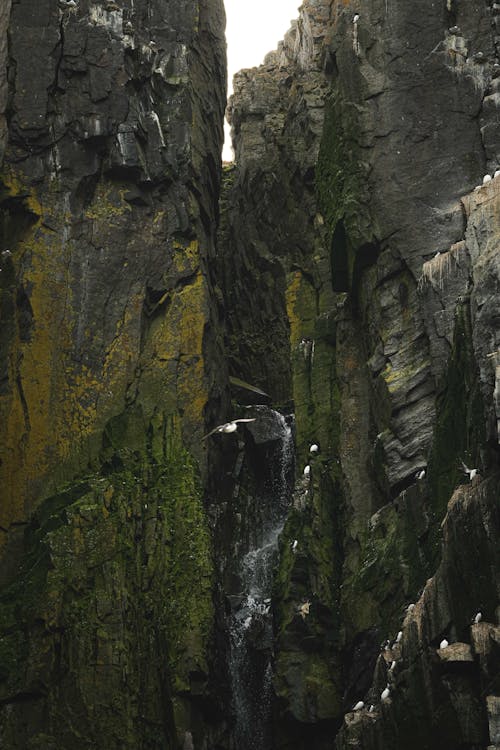 Closeup of a Dark Cliff