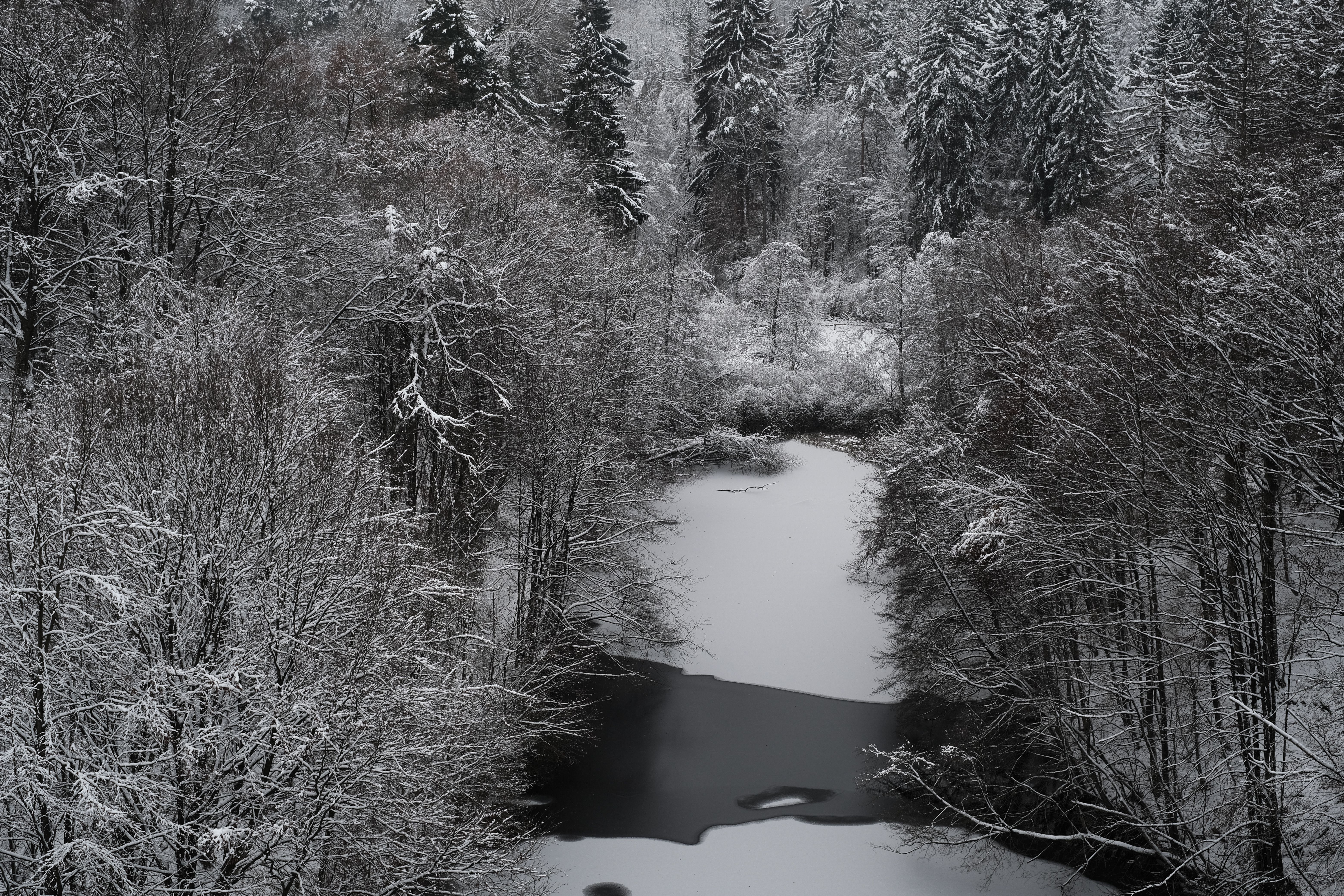 Black and White Photo of a Winter Landscape · Free Stock Photo