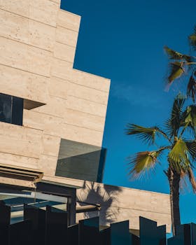 A sleek modern building juxtaposed with a vibrant palm tree under a clear blue sky.