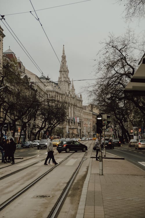Fotos de stock gratuitas de arboles, arquitectura, Budapest