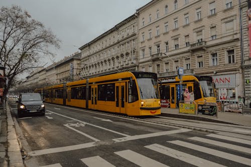 View of Yellow Trams on a Street in Budapest, Hungary 