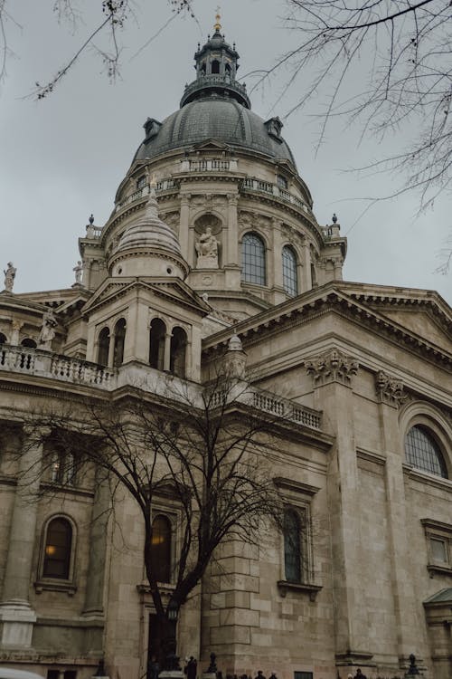 Photos gratuites de arbres, basilique Saint-Etienne, bâtiment