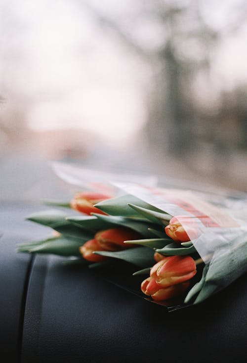 Kostenloses Stock Foto zu blumen, blumenstrauß, nahansicht