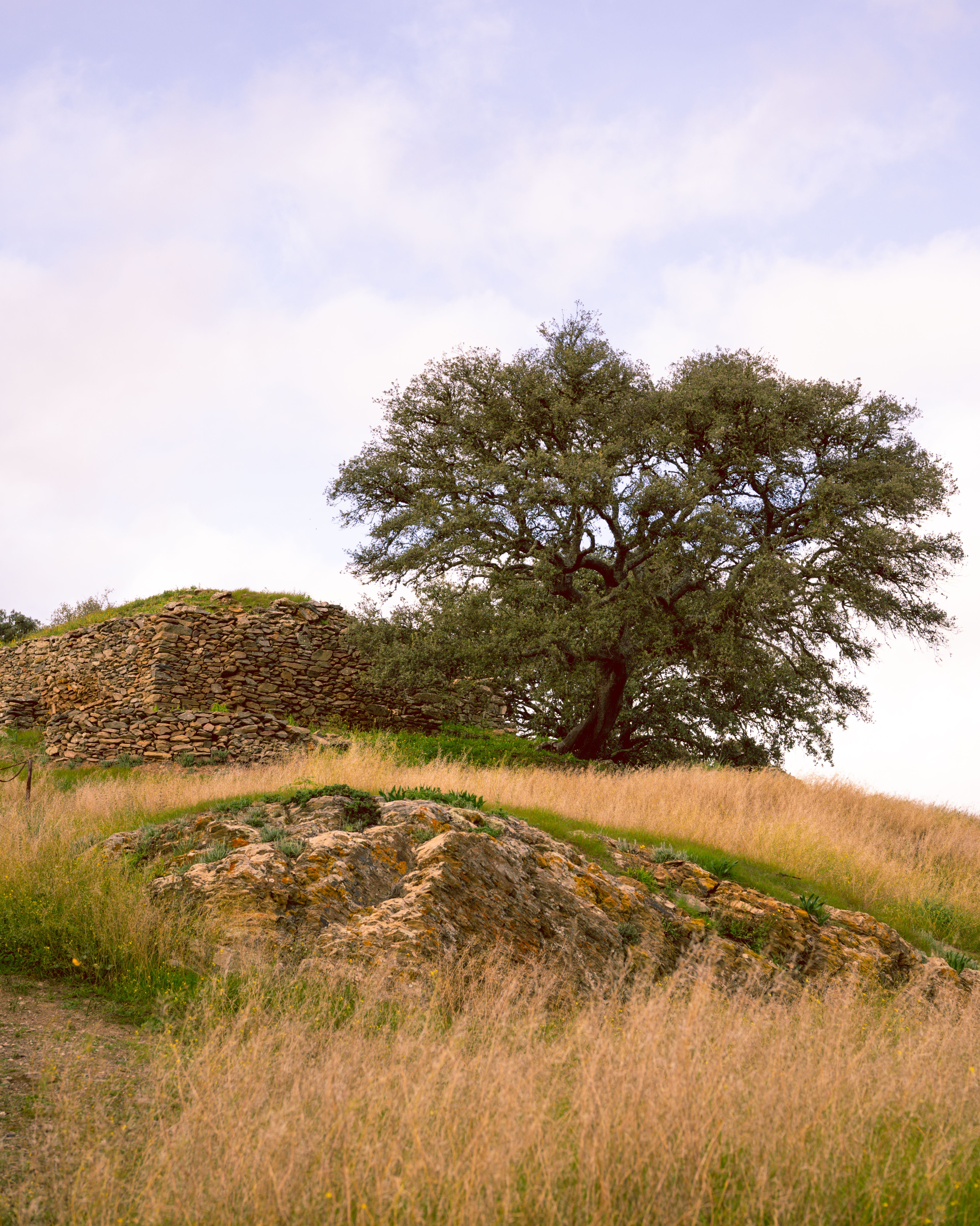 Quercus lehnt Kaolin- und Tonabbau in Peniche ab