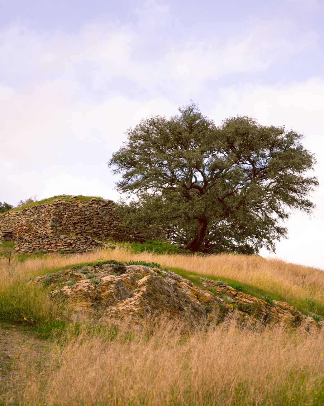 Quercus lehnt Kaolin- und Tonabbau in Peniche ab