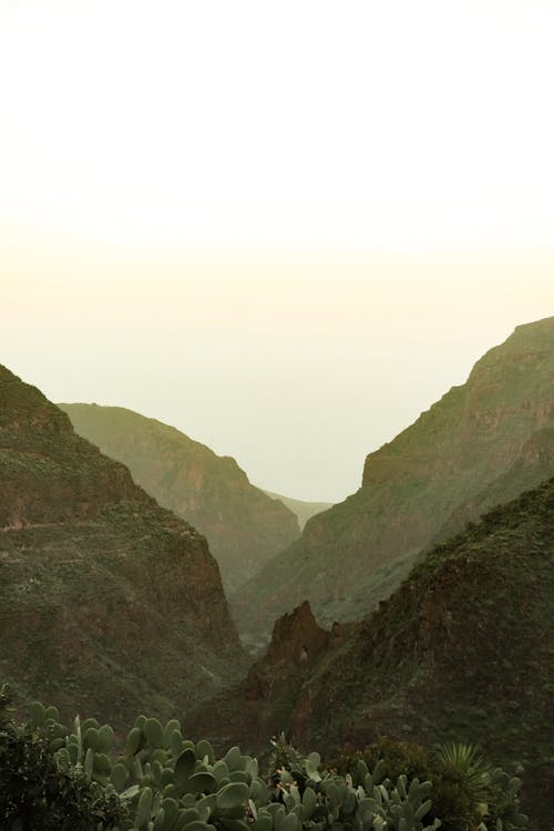 Darmowe zdjęcie z galerii z dolina, góry, pionowy strzał