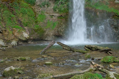 Gratis stockfoto met Bos, cascade, gras