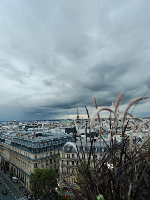 Cityscape of Paris under Gray Clouds