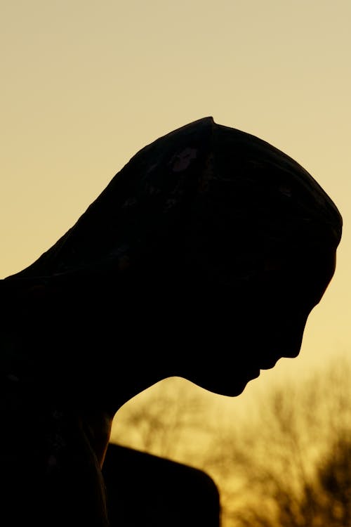 Silhouette of Man on a Field During Sunset 