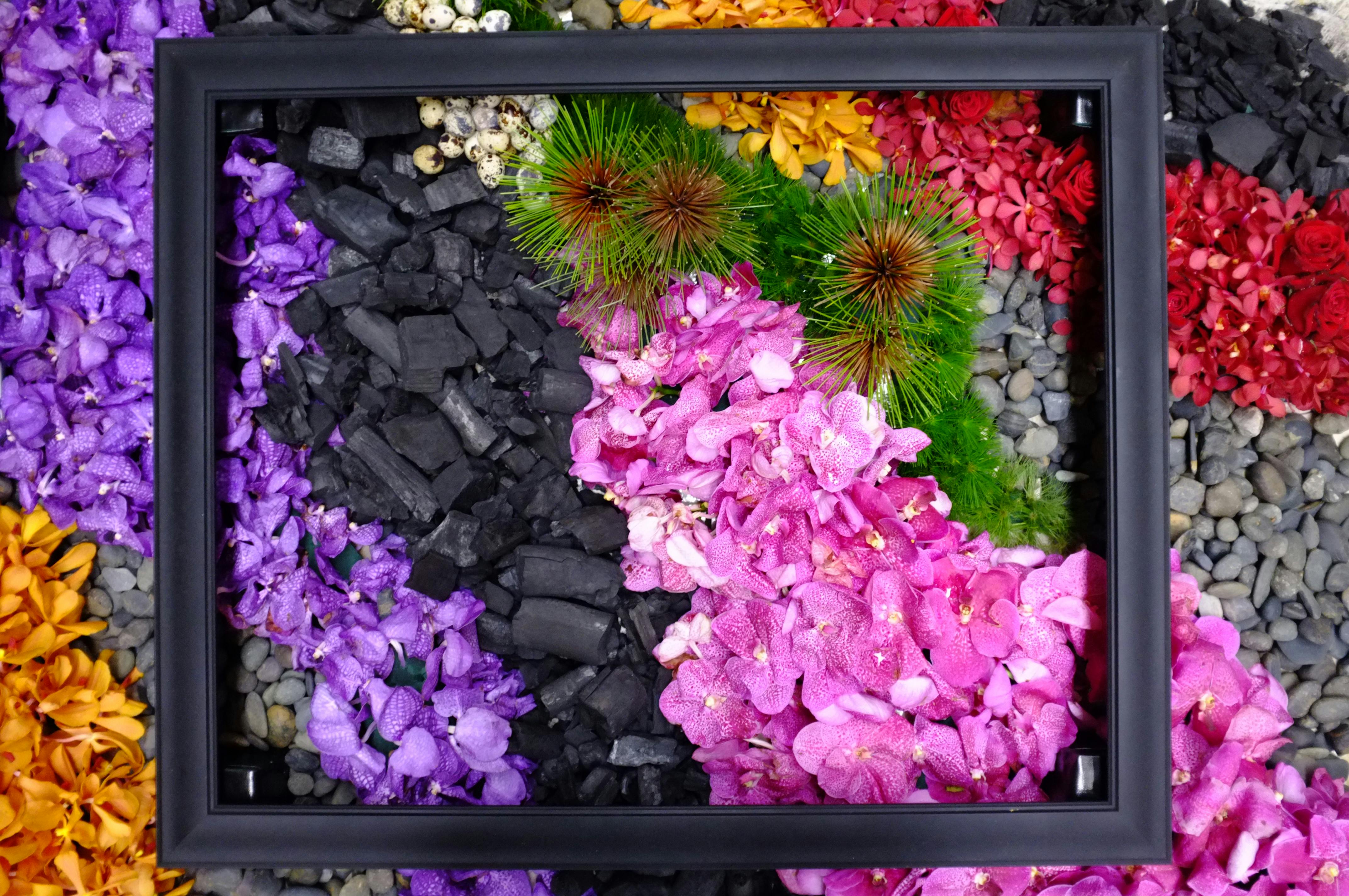 Seedlings inside a wooden cold frame in a garden