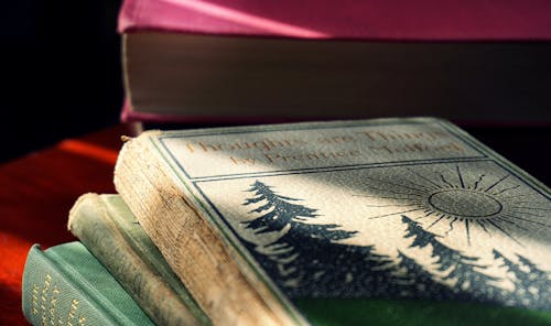 Free Close-up Photo of Piled Hardcover Books Stock Photo