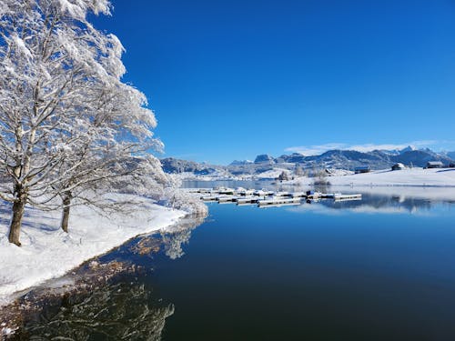 Marina on Lake in Winter