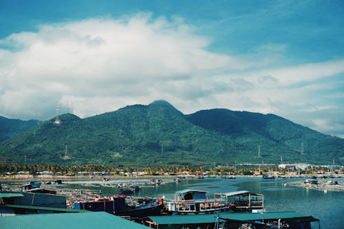 Бесплатное стоковое фото с гавань, горы, зеленые холмы