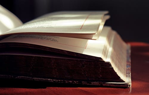 Closed-up Photo of Open Book on Red Surface