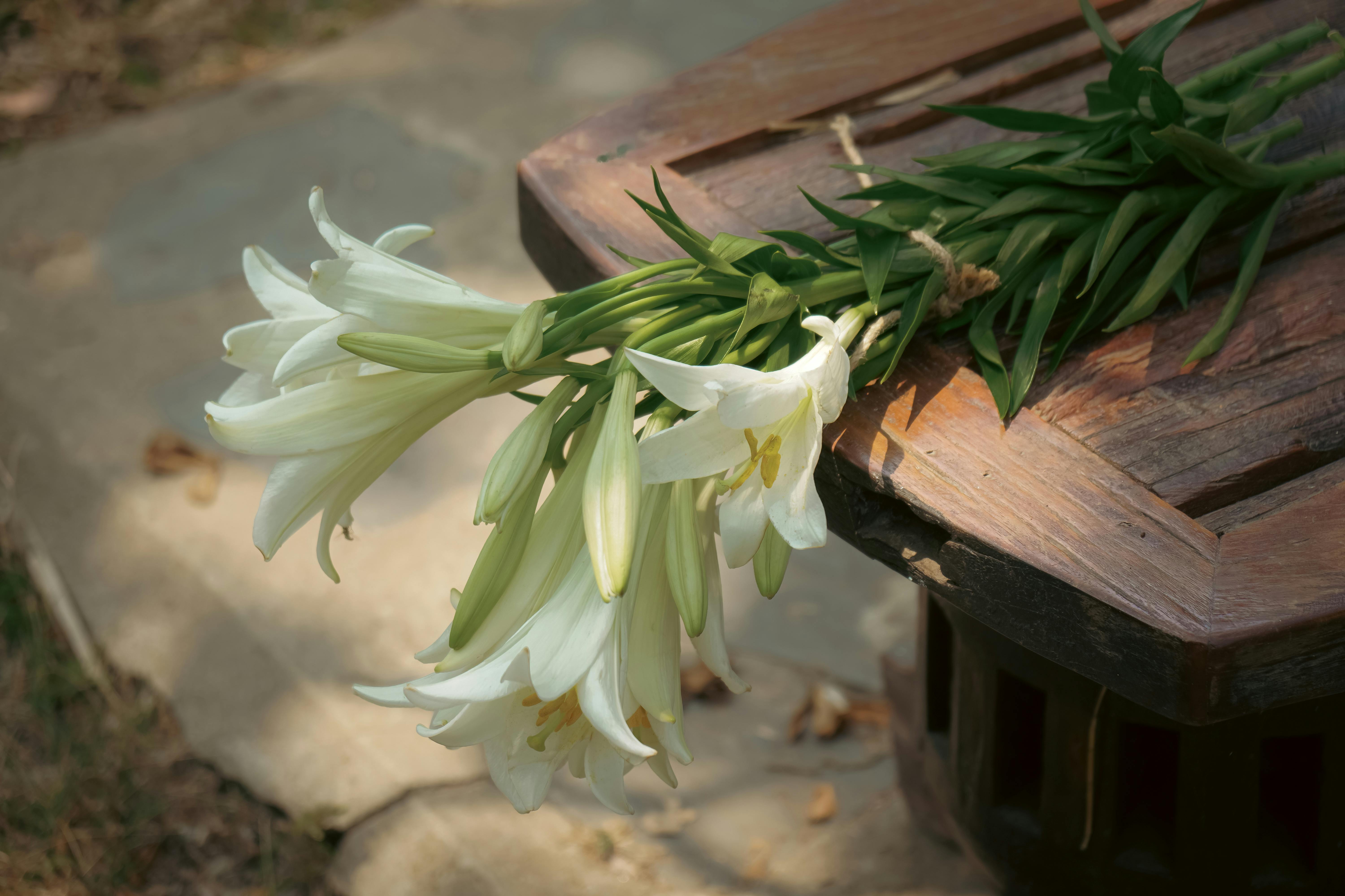 A serene arrangement of white lilies beautifully displayed on a rustic wooden table outdoors.