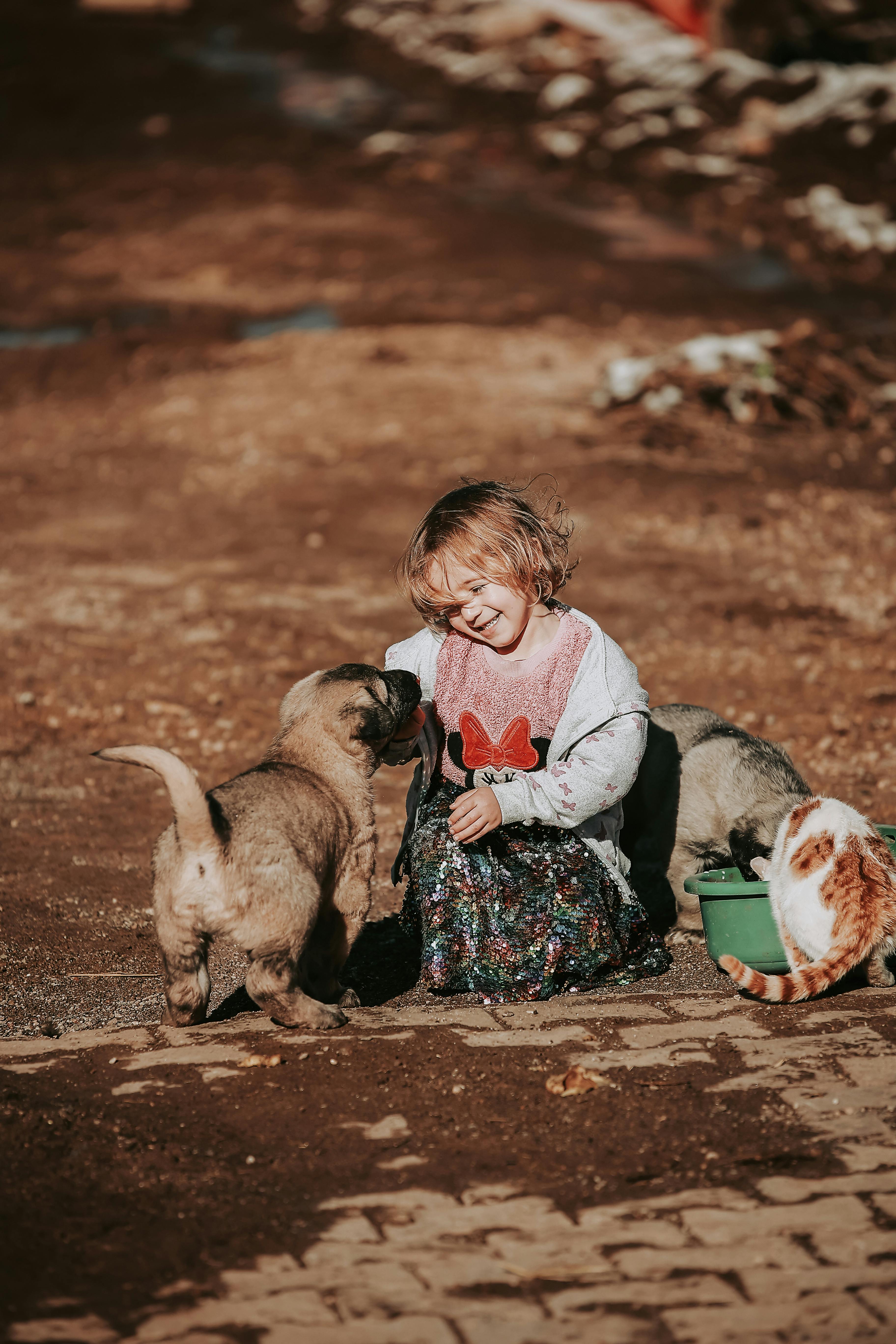 Socializing An Adult Dog With Other Pets